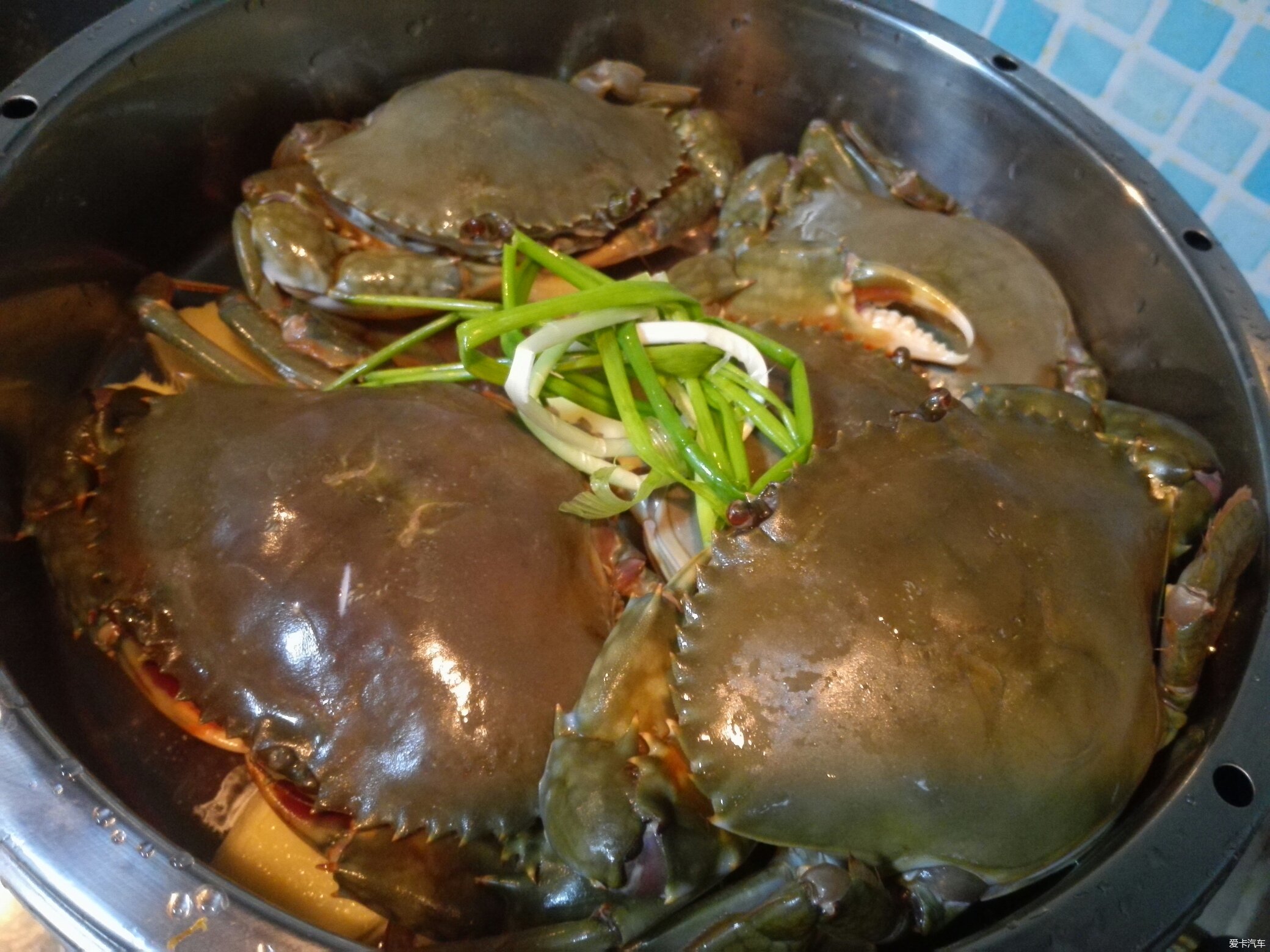 东海海鲜：虾蟹蛏子带鱼鲳鱼……拉出来单挑！ - 知乎